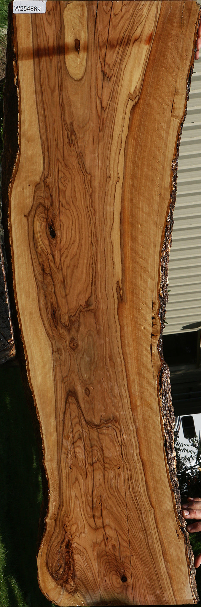 Extra Fancy Rustic African Olive Live Edge Lumber