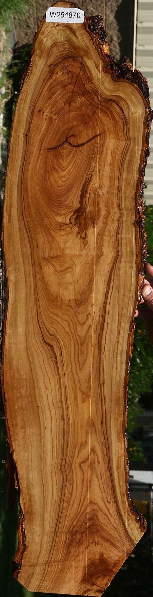 African Olive Live Edge Lumber