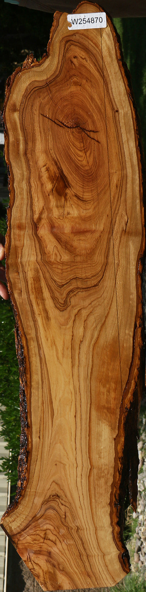 African Olive Live Edge Lumber