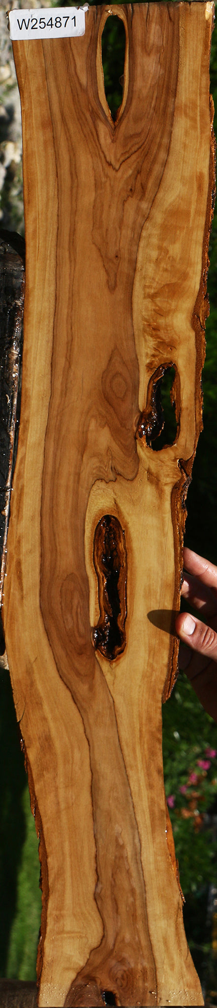 African Olive Live Edge Lumber