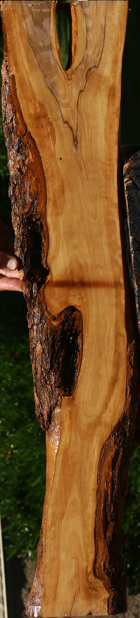 African Olive Live Edge Lumber