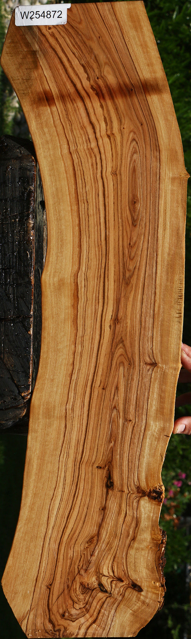 African Olive Live Edge Lumber