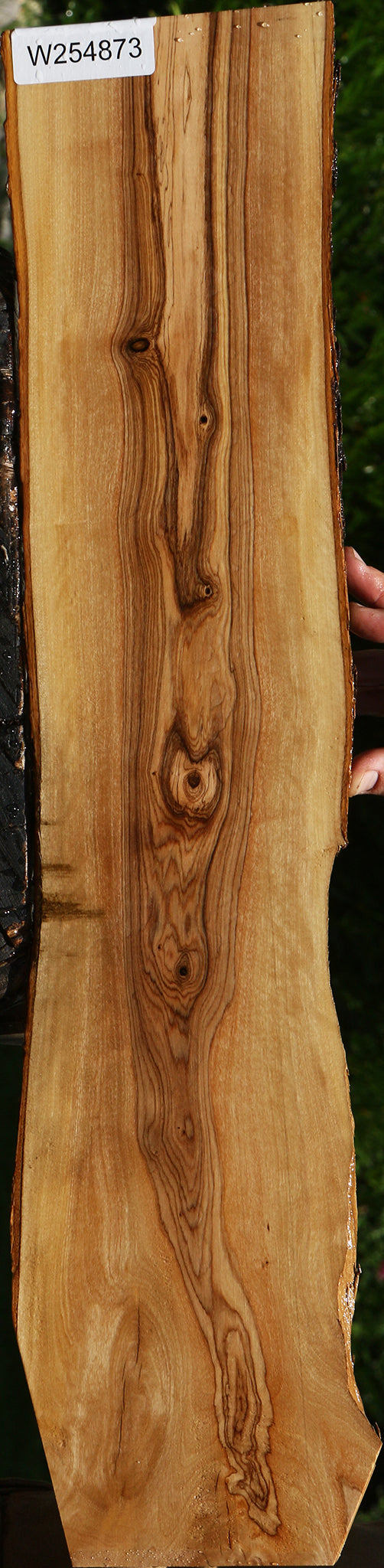 African Olive Live Edge Lumber