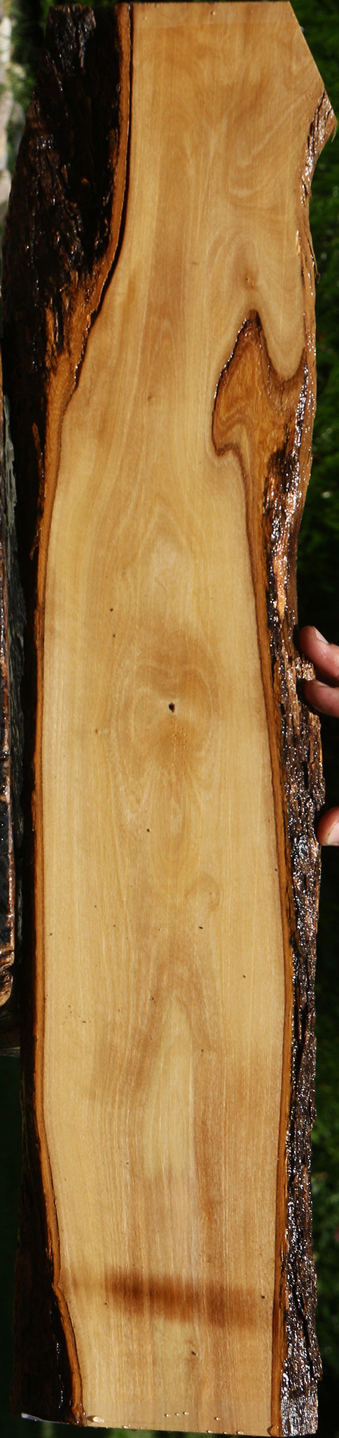 African Olive Live Edge Lumber