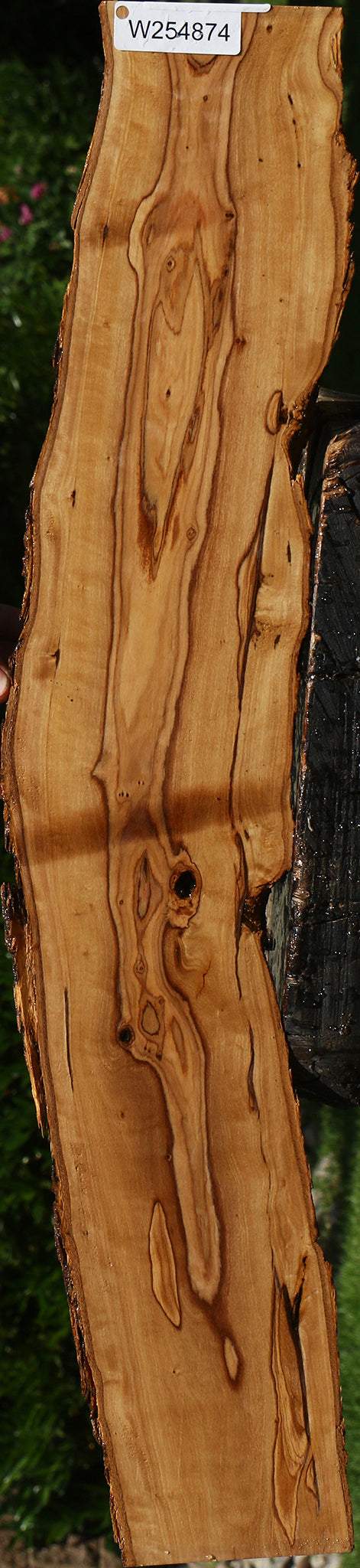 African Olive Live Edge Lumber