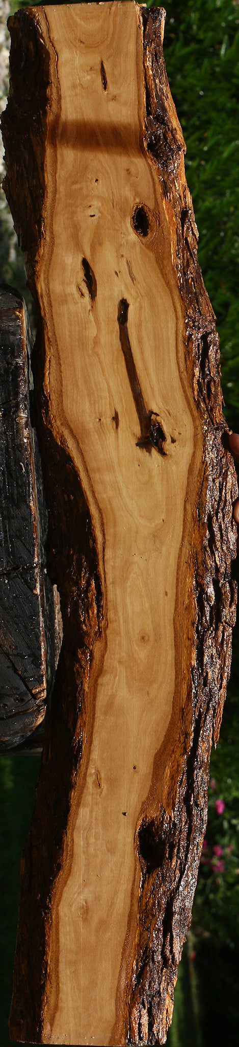African Olive Live Edge Lumber