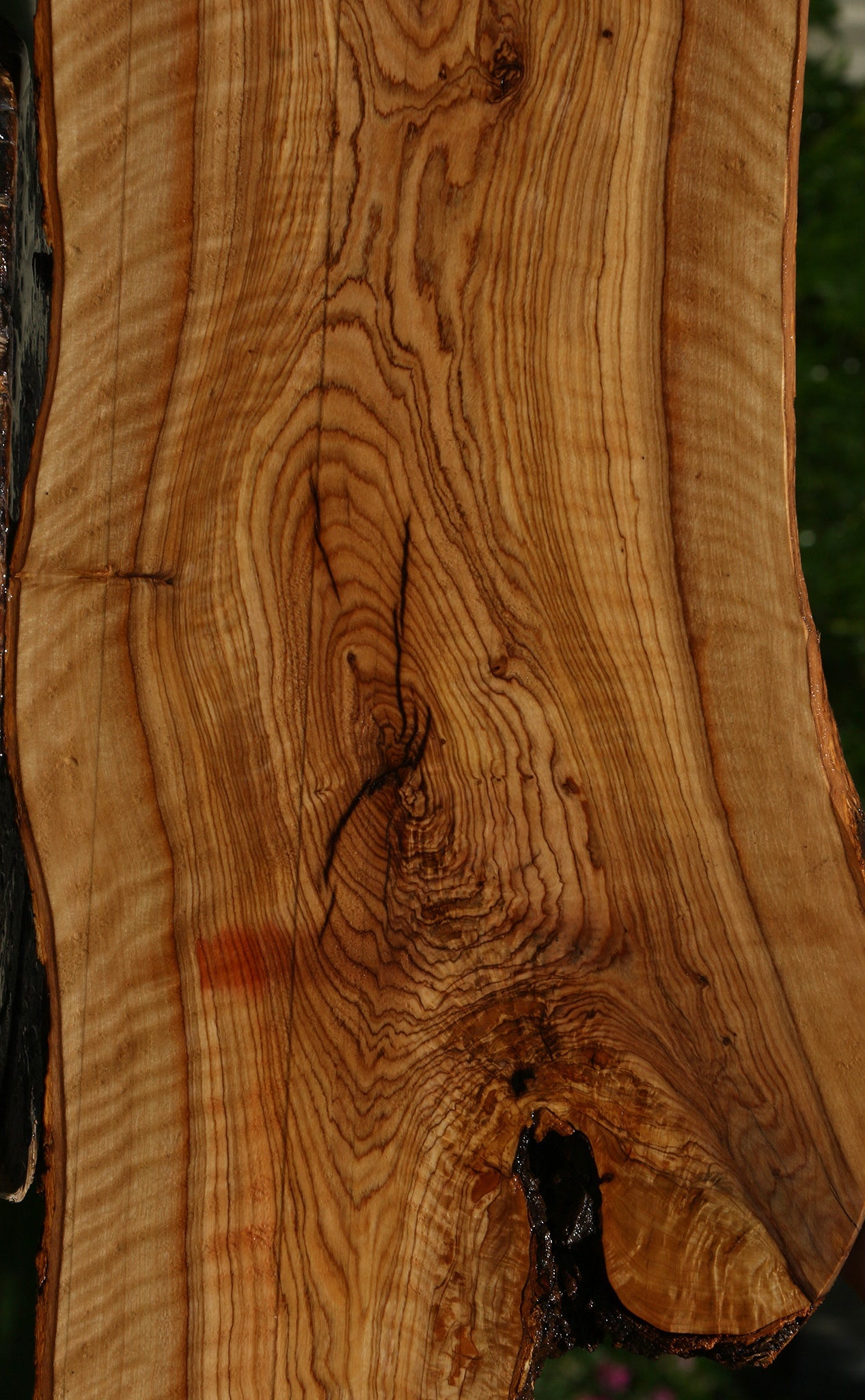 Extra Fancy African Olive Live Edge Lumber