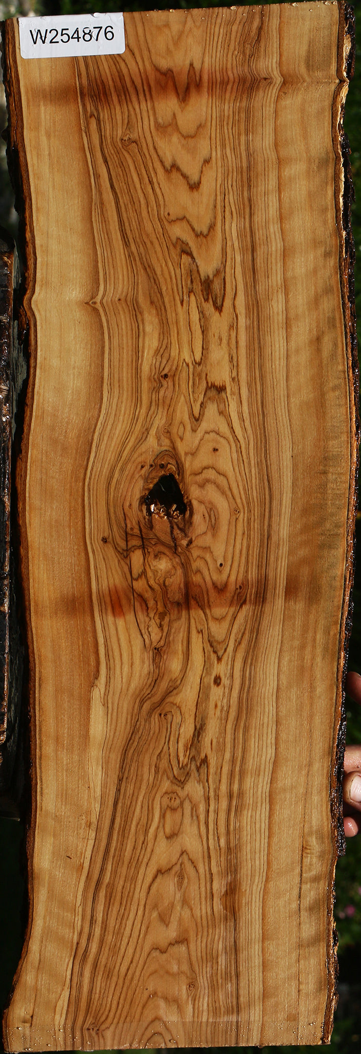 Figured African Olive Live Edge Lumber