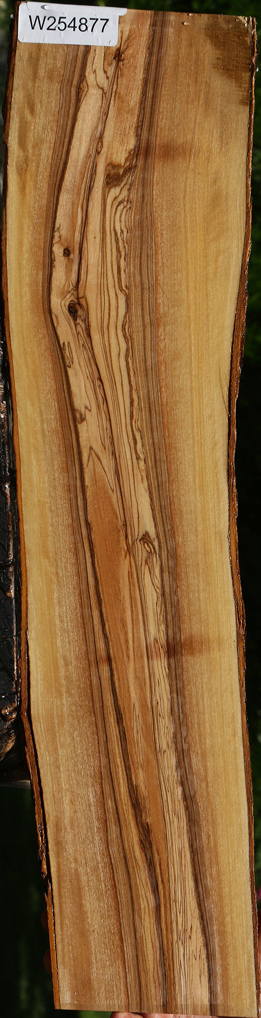 African Olive Live Edge Lumber