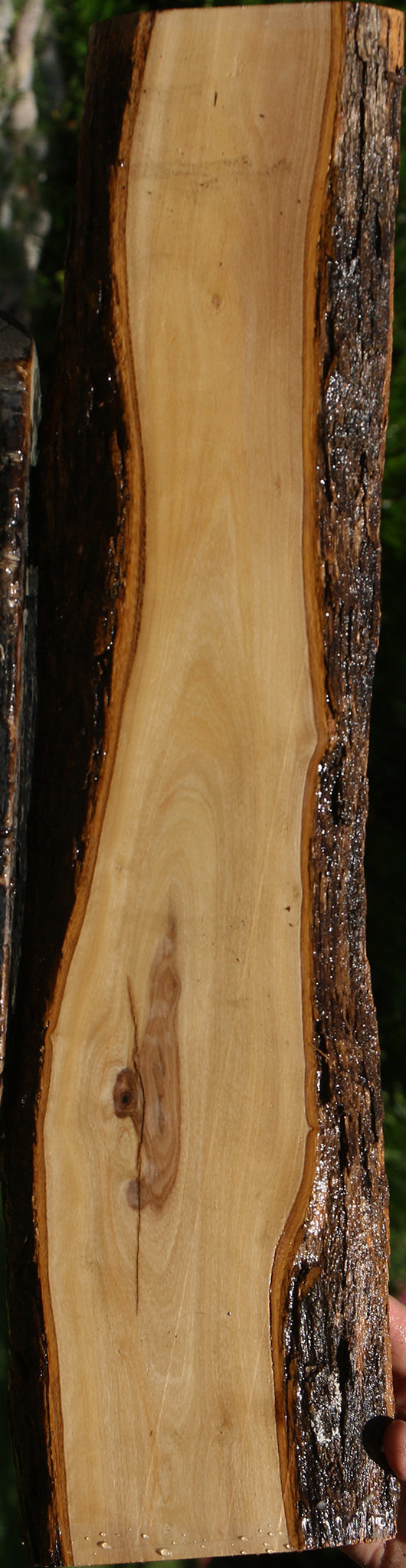 African Olive Live Edge Lumber