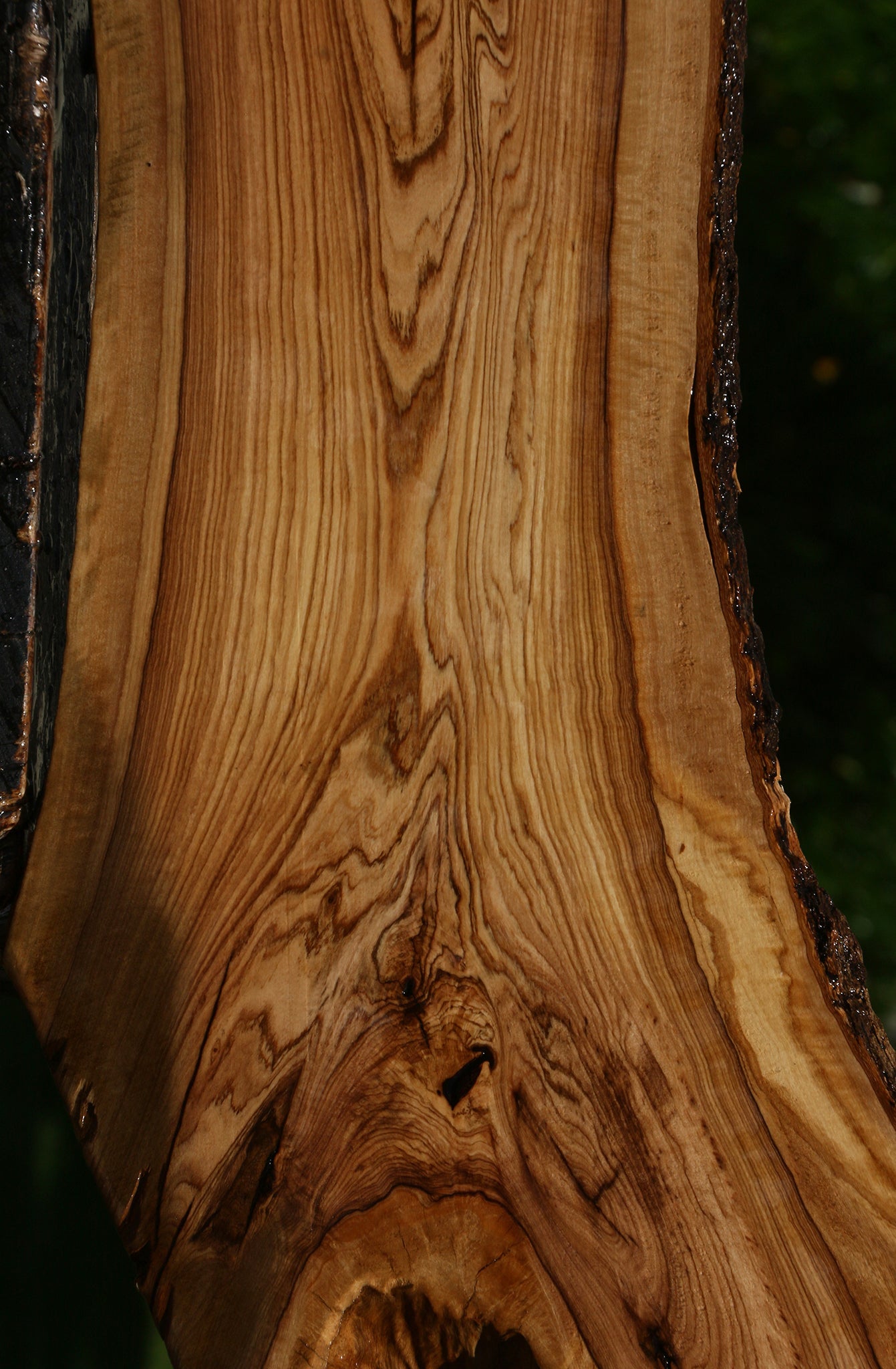 African Olive Live Edge Lumber