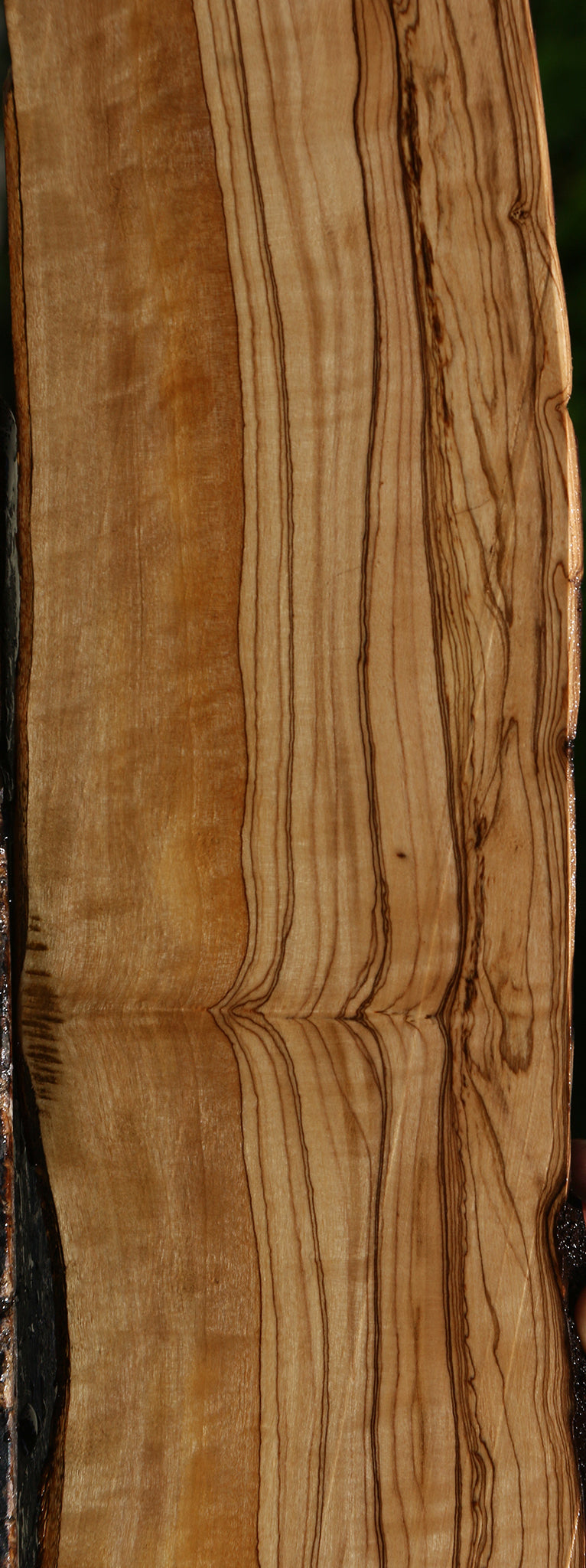 Figured African Olive Live Edge Lumber
