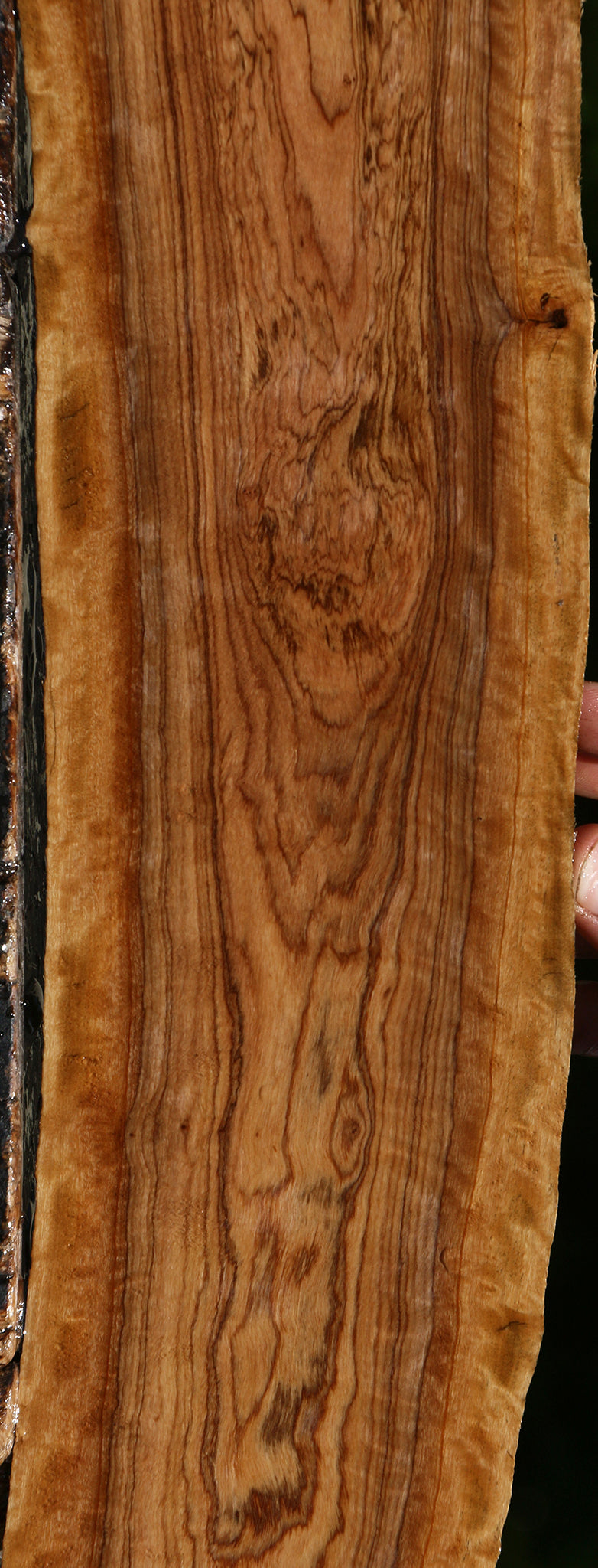 Extra Fancy African Olive Live Edge Lumber