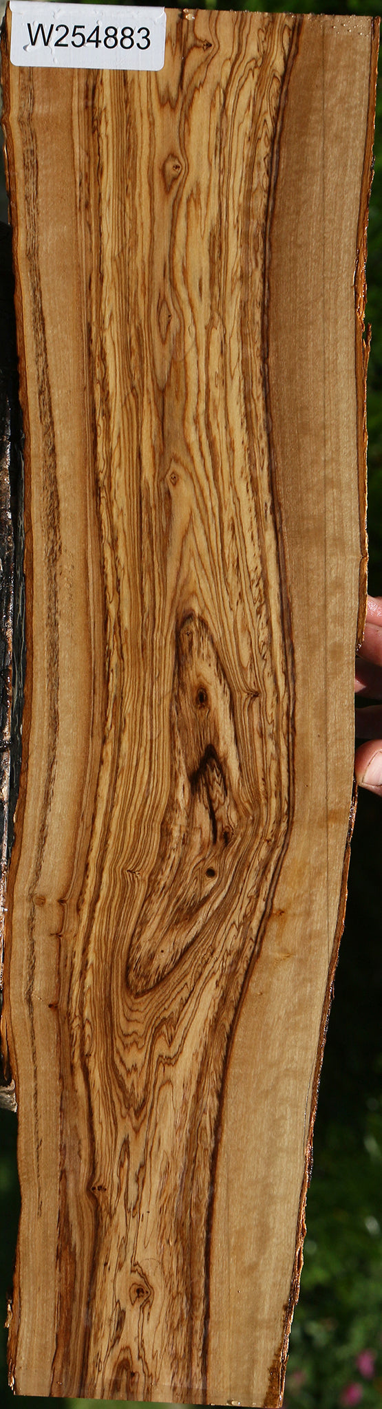 African Olive Live Edge Lumber