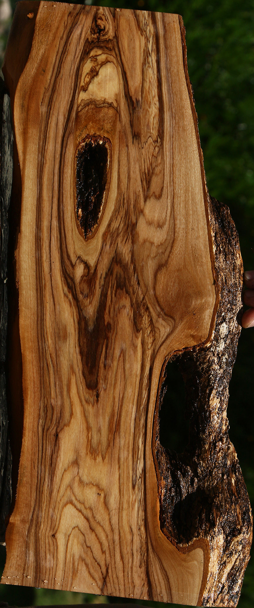 Figured African Olive Live Edge Lumber