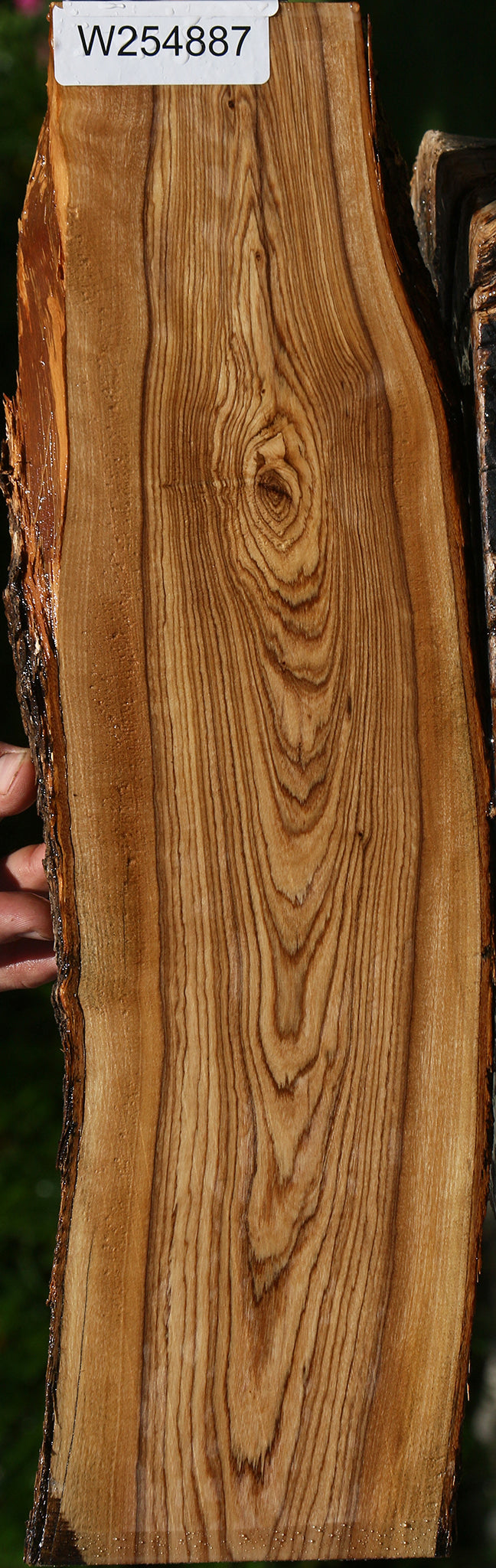 Figured African Olive Live Edge Lumber