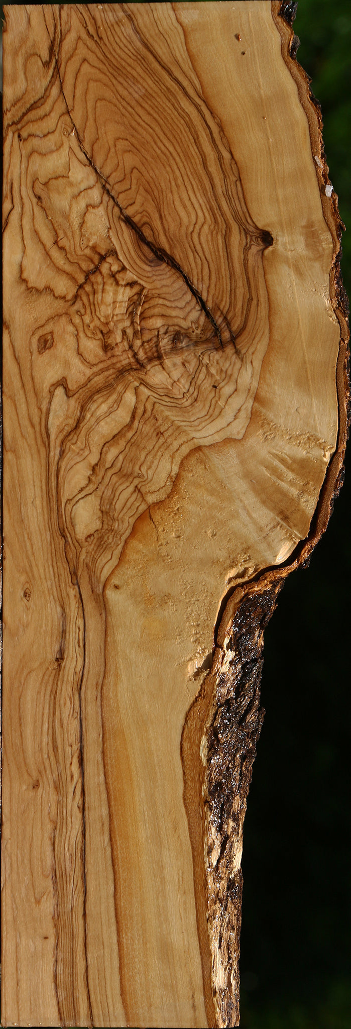 African Olive Live Edge Lumber