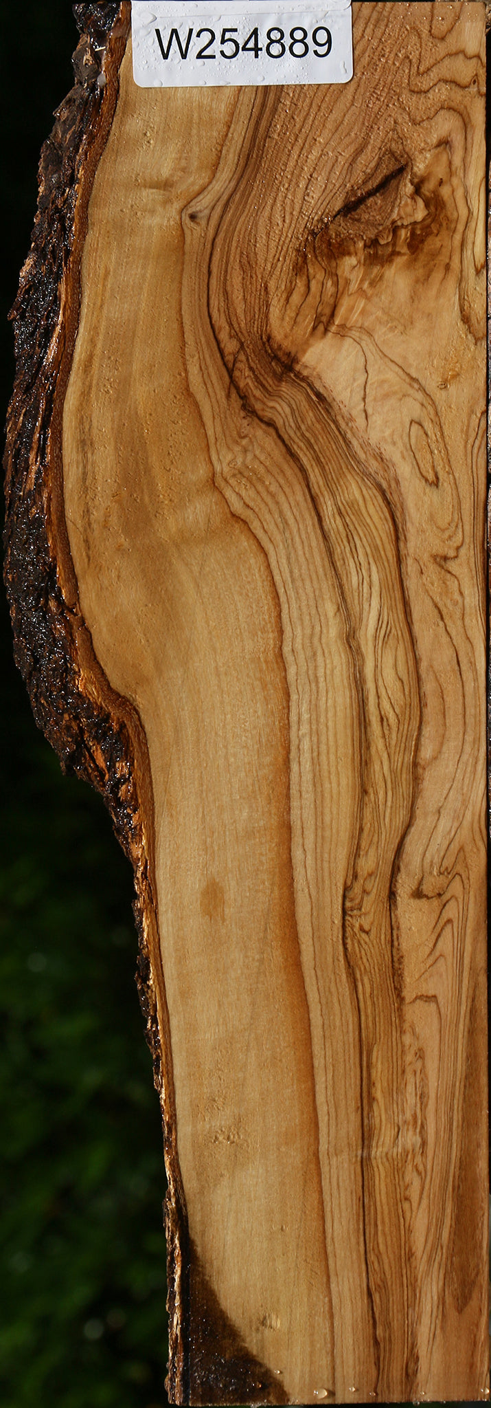 African Olive Live Edge Lumber