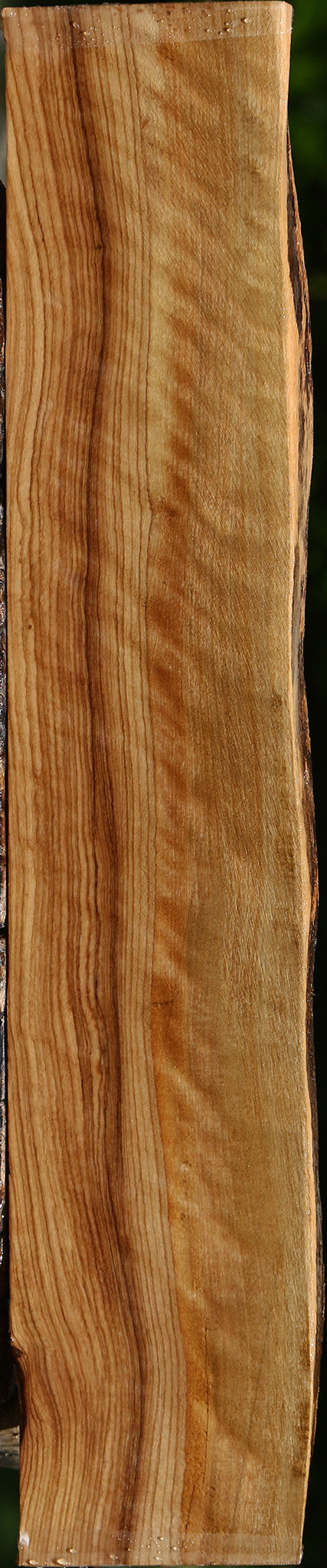 Extra Fancy African Olive Live Edge Lumber