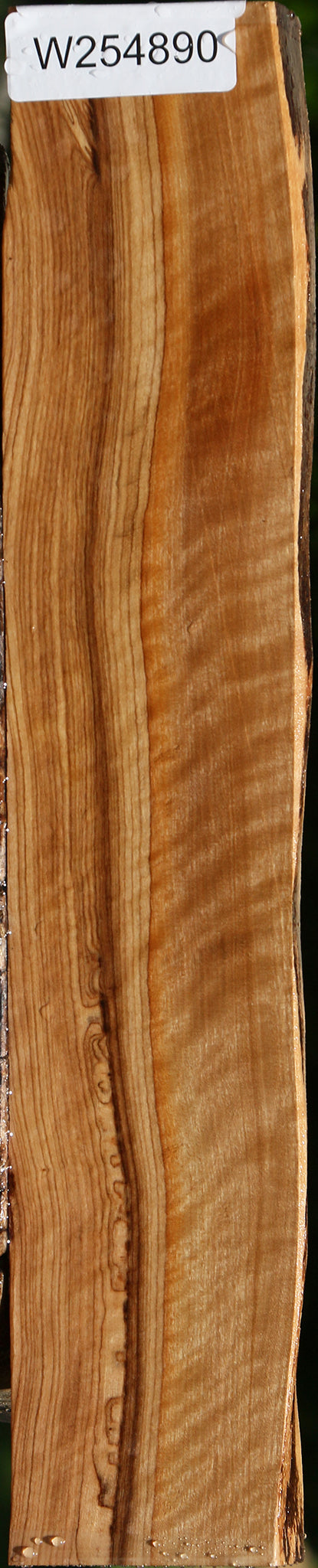 Extra Fancy African Olive Live Edge Lumber