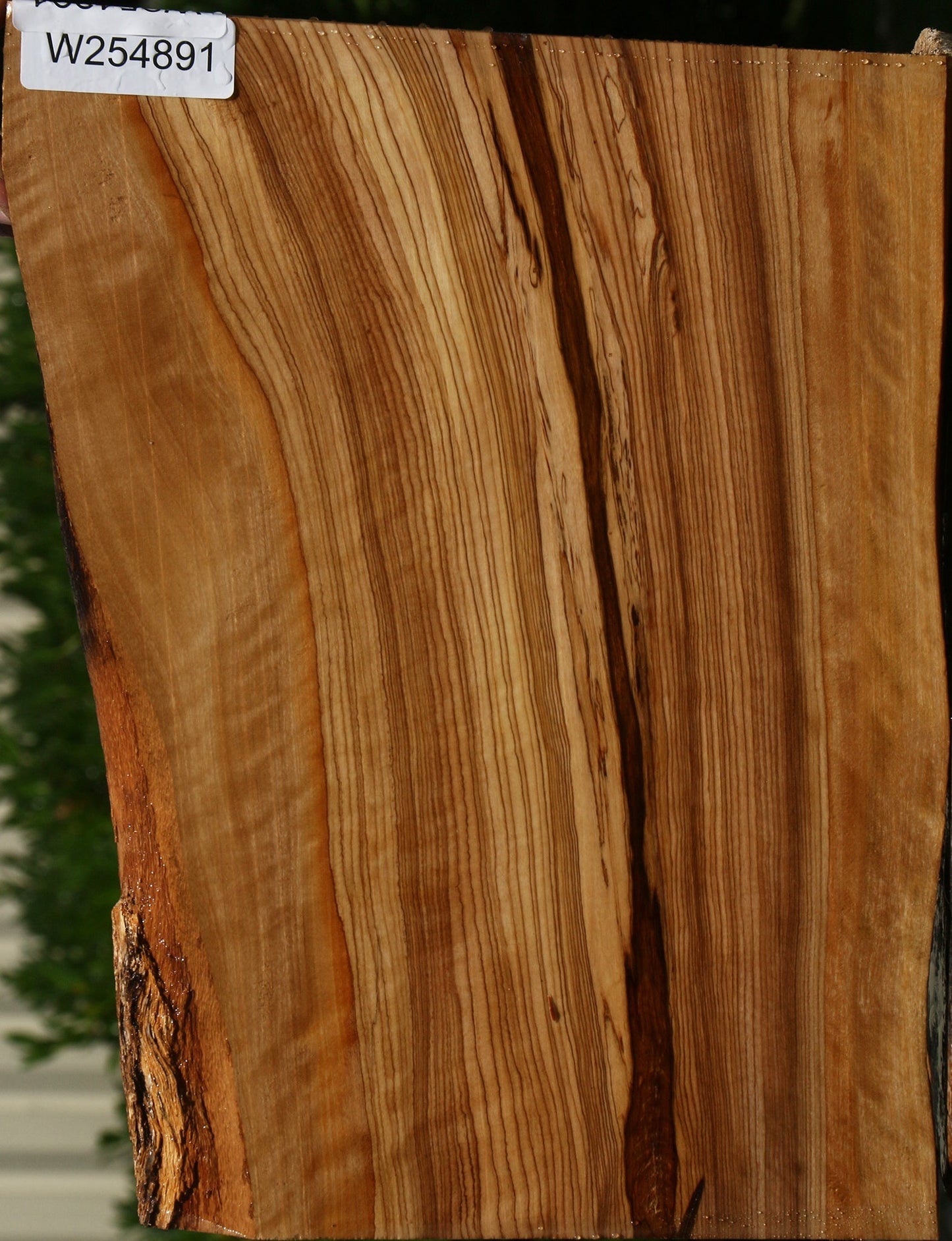 African Olive Live Edge Lumber