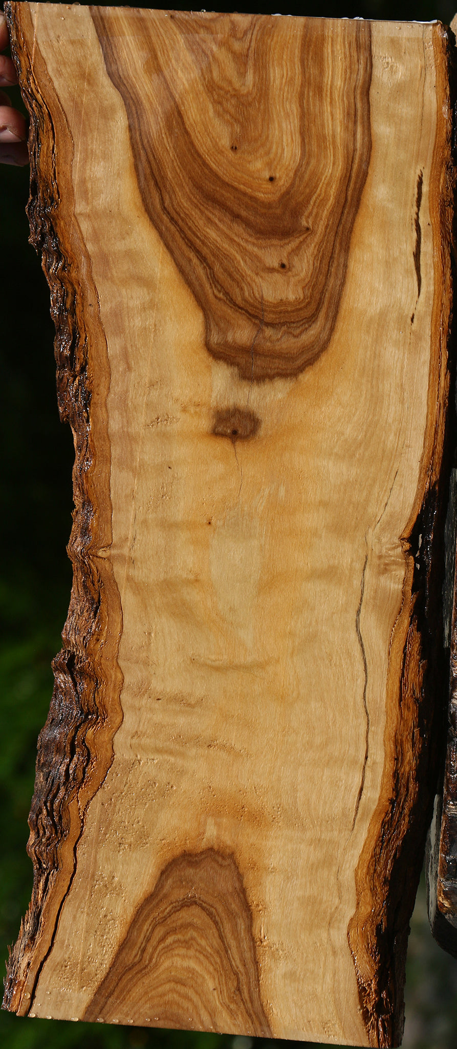 Extra Fancy African Olive Live Edge Lumber