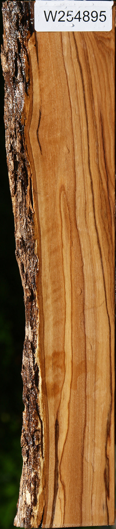 African Olive Live Edge Lumber