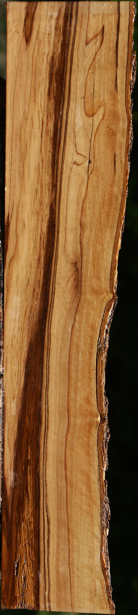 African Olive Live Edge Lumber