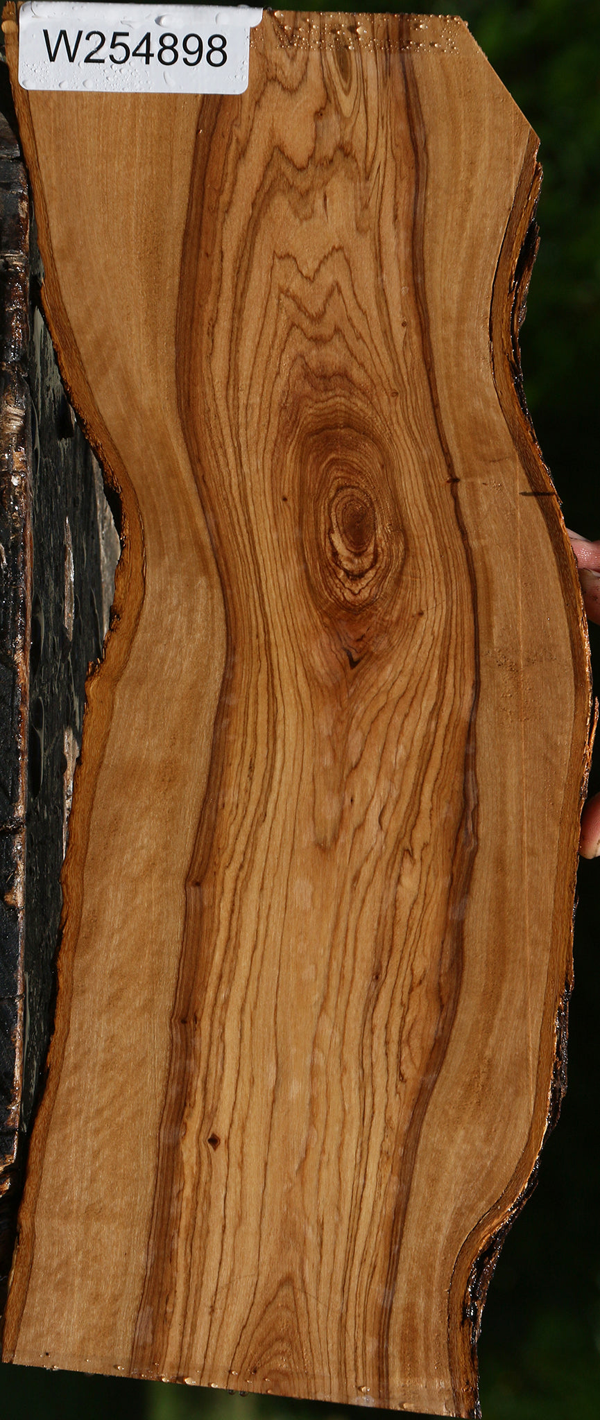 Figured African Olive Live Edge Lumber