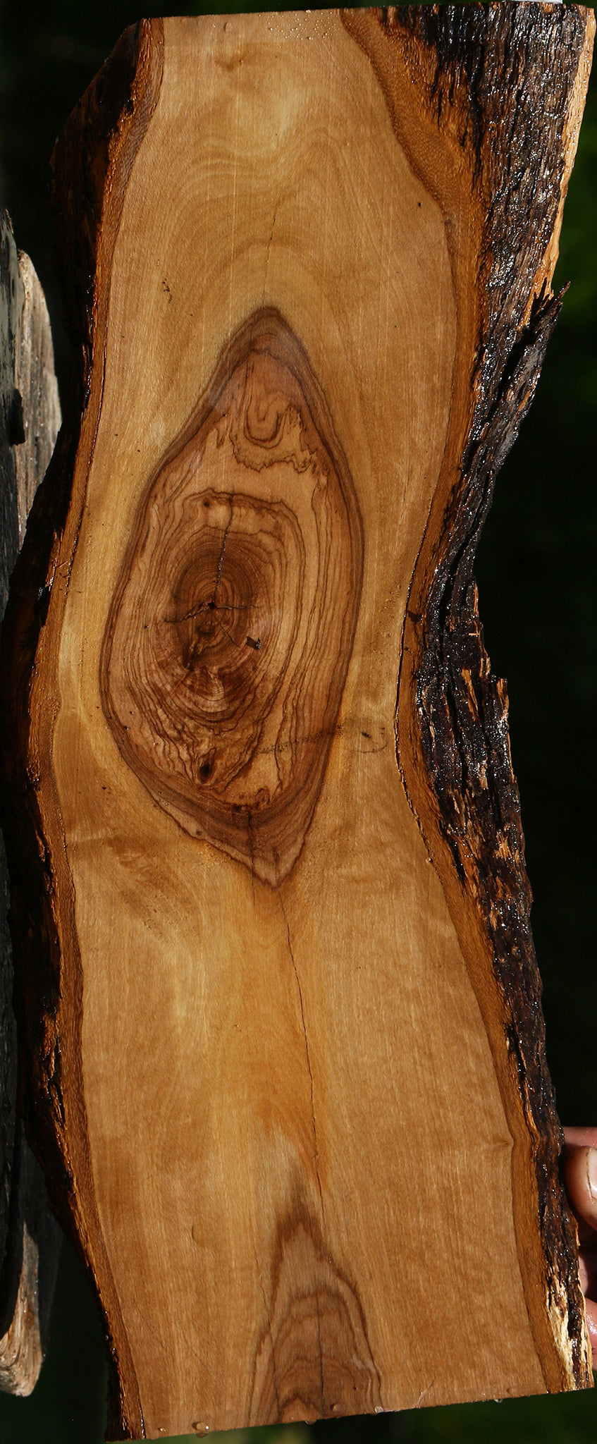 Figured African Olive Live Edge Lumber