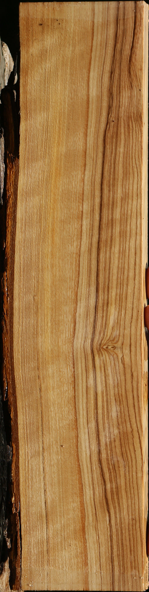 Figured African Olive Live Edge Lumber