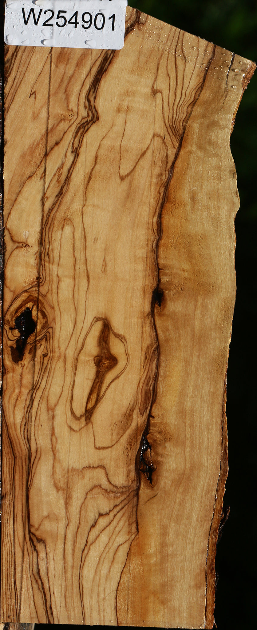 Figured African Olive Live Edge Lumber