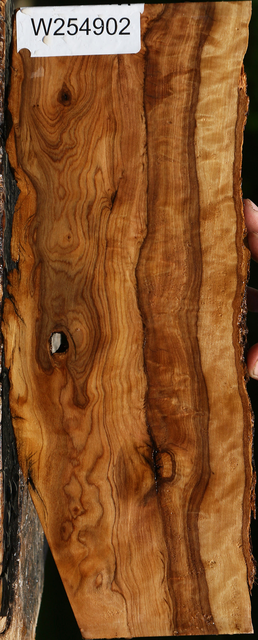 Extra Fancy African Olive Live Edge Lumber