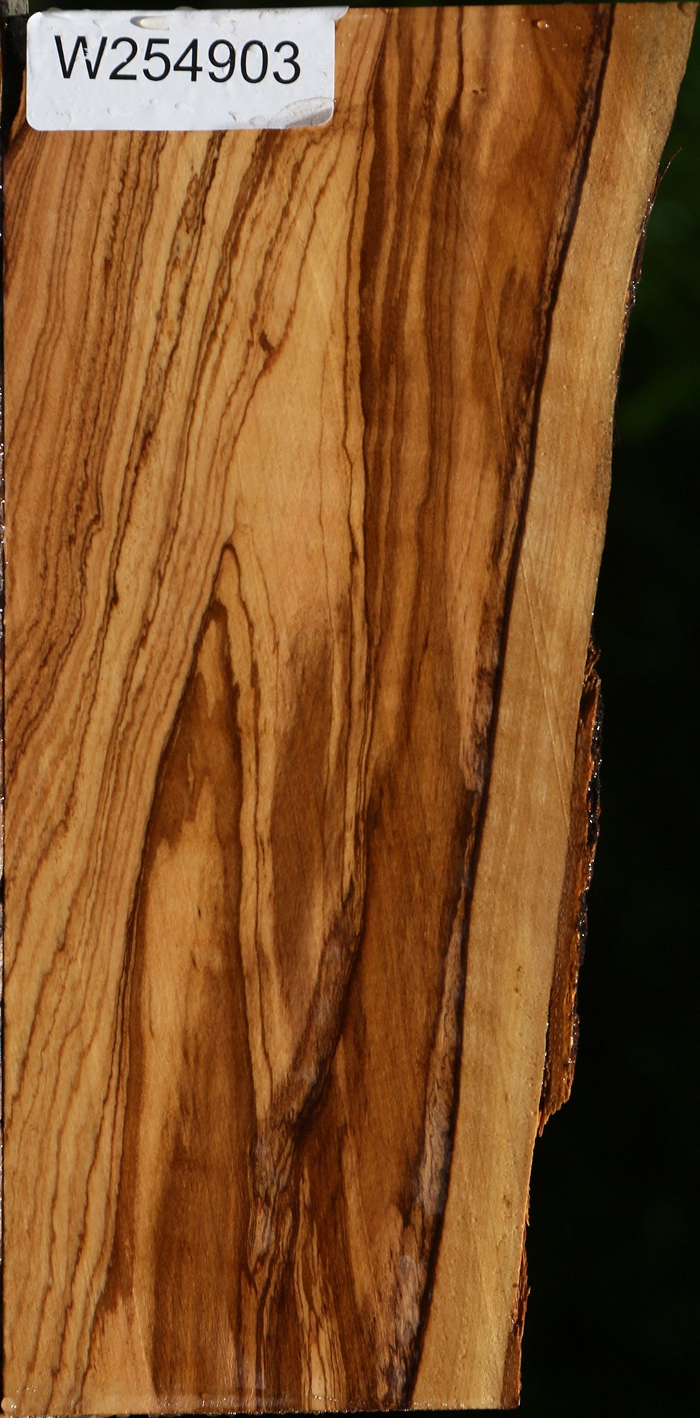 Extra Fancy African Olive Live Edge Lumber