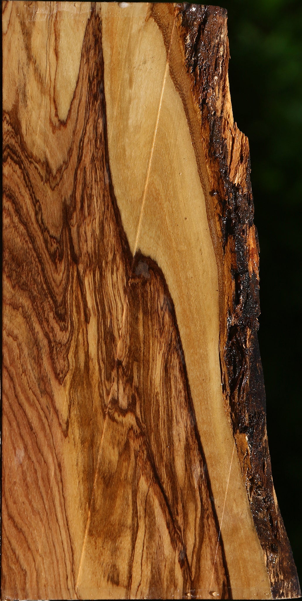Extra Fancy African Olive Live Edge Lumber