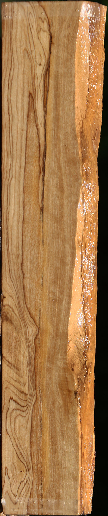 Extra Fancy African Olive Live Edge Lumber