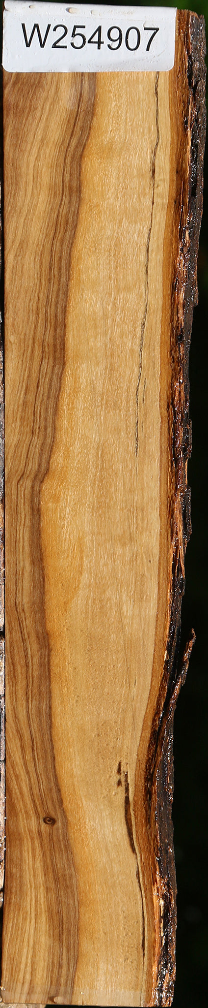 Figured African Olive Live Edge Lumber
