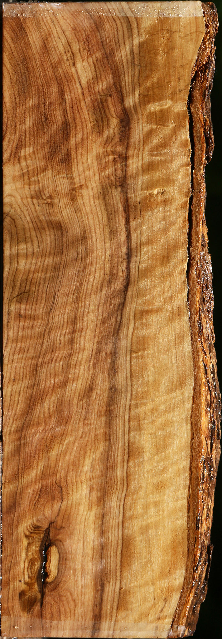 Extra Fancy African Olive Live Edge Lumber