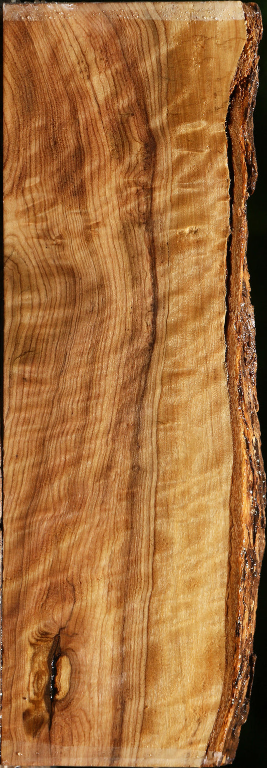 Extra Fancy African Olive Live Edge Lumber