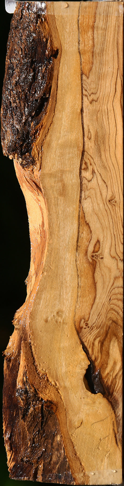 Figured African Olive Live Edge Lumber