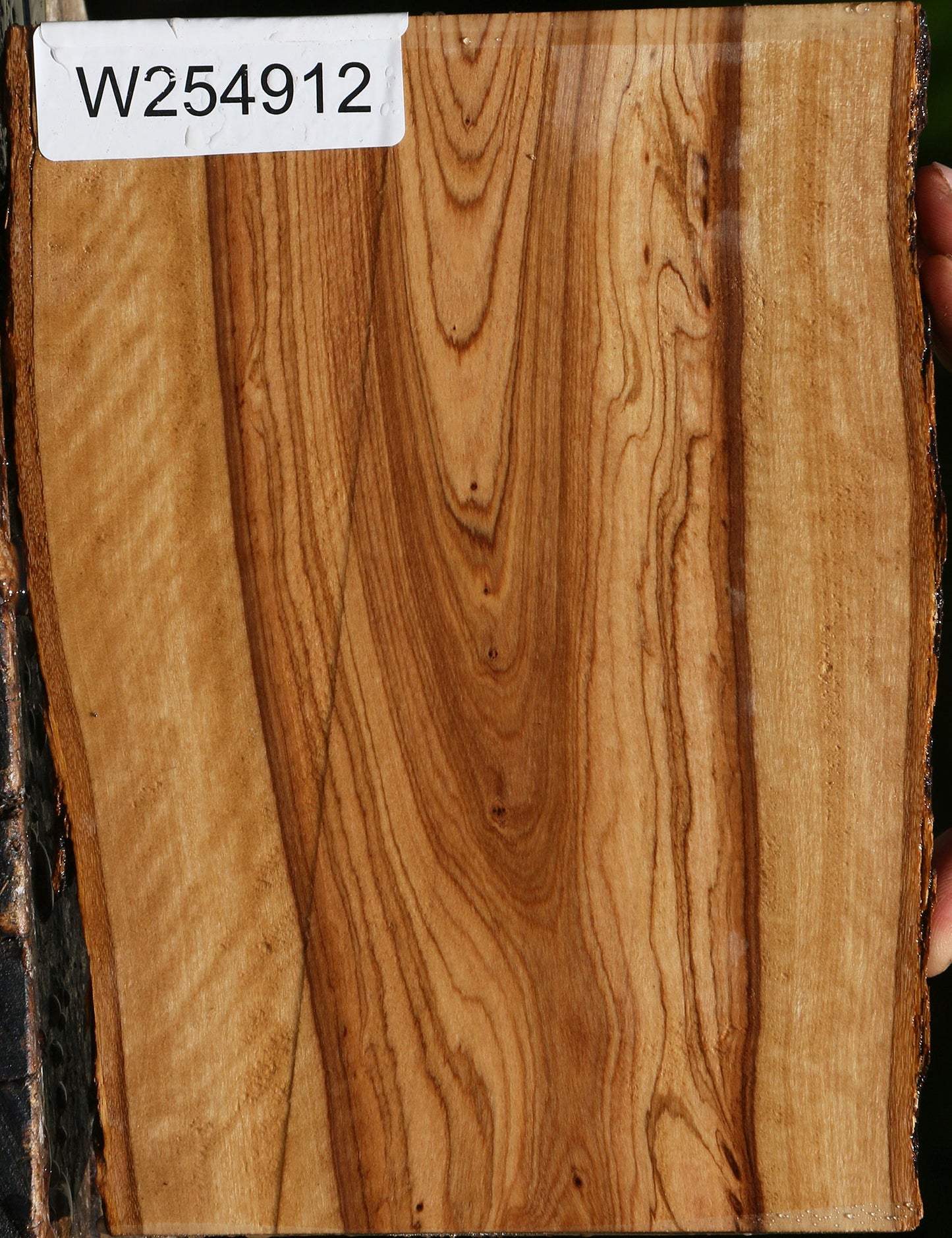 African Olive Live Edge Lumber