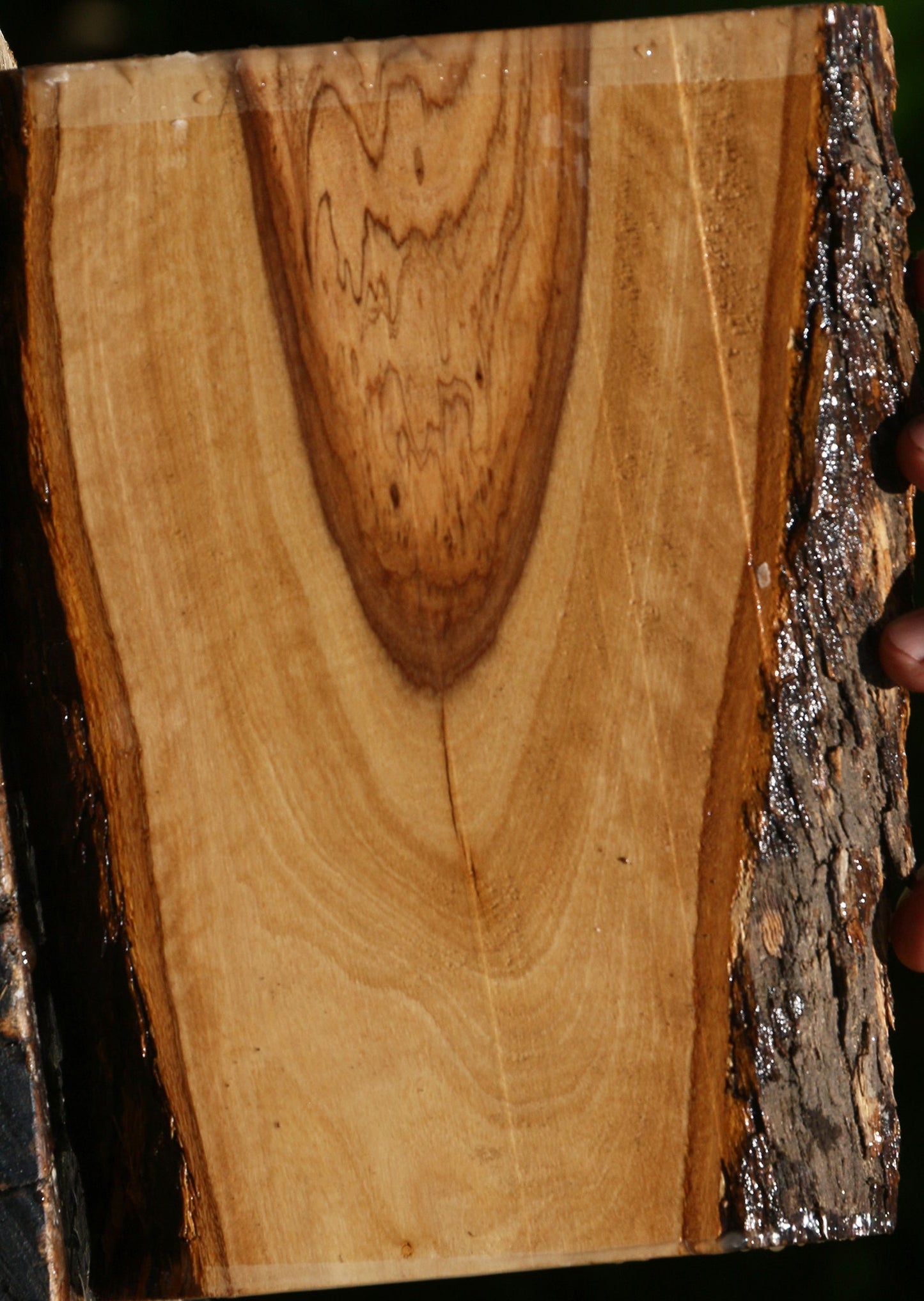 African Olive Live Edge Lumber