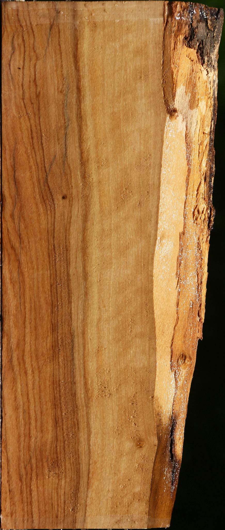Figured African Olive Live Edge Lumber