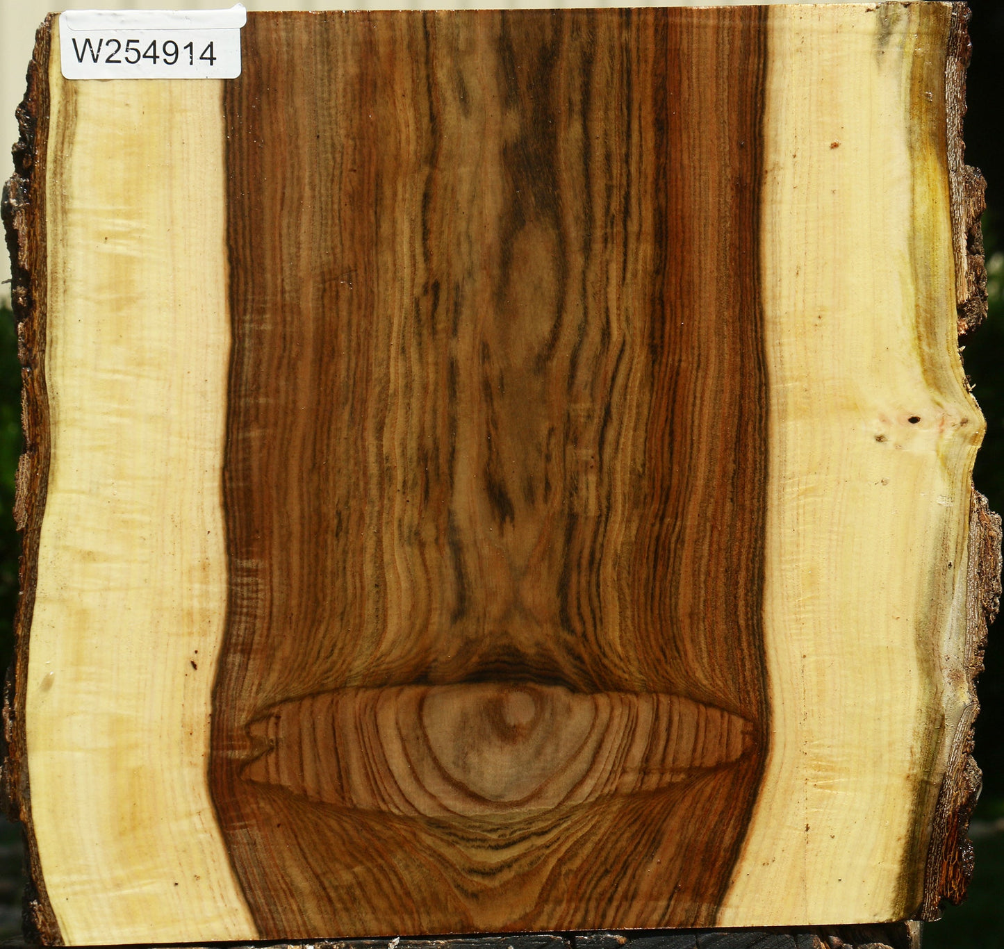 Pistachio Live Edge Platter Blank