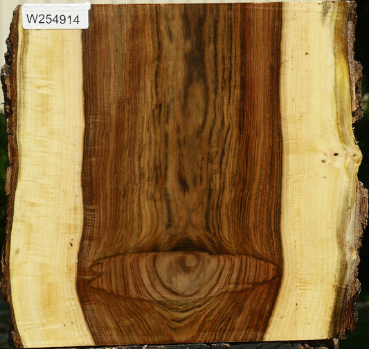 Pistachio Live Edge Platter Blank