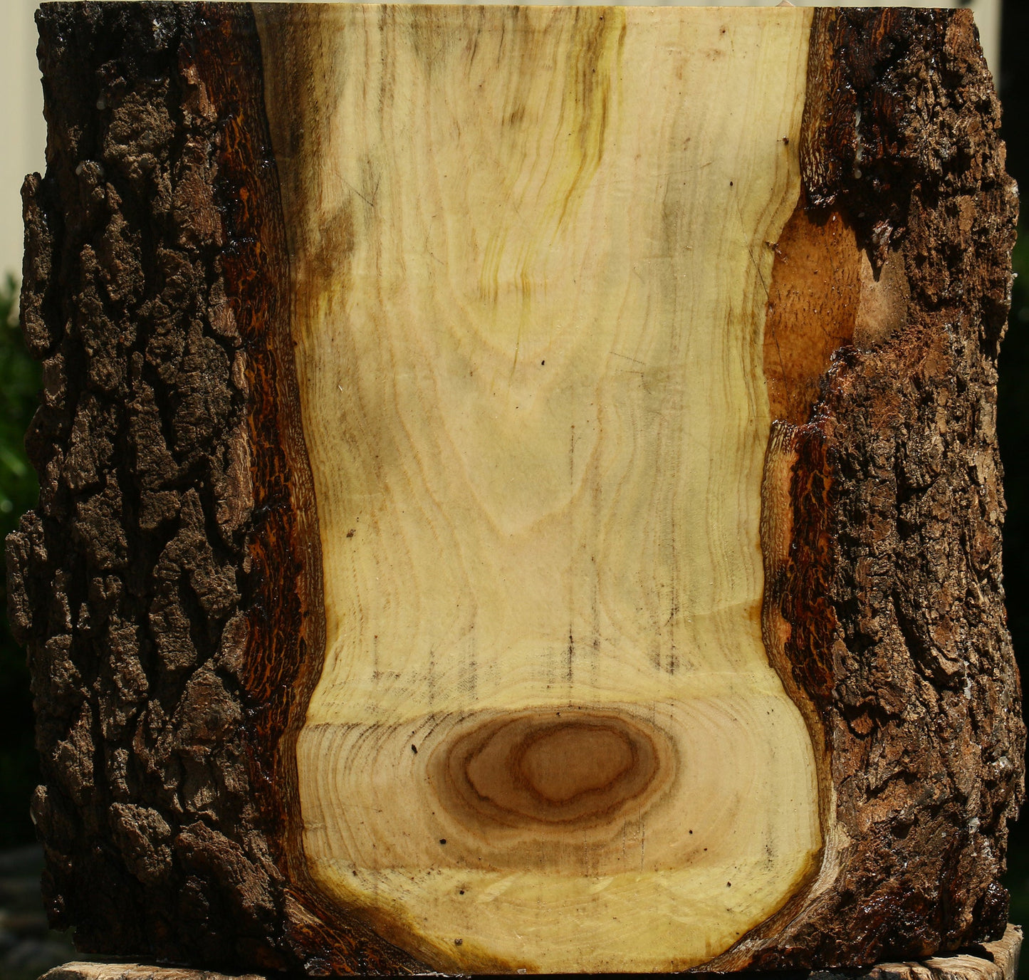 Pistachio Live Edge Platter Blank