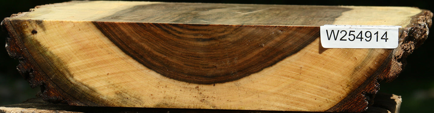Pistachio Live Edge Platter Blank