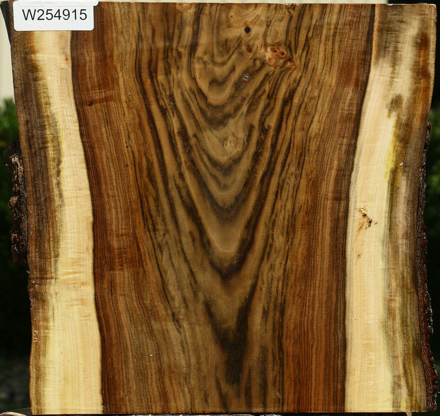 Figured Pistachio Live Edge Platter Blank