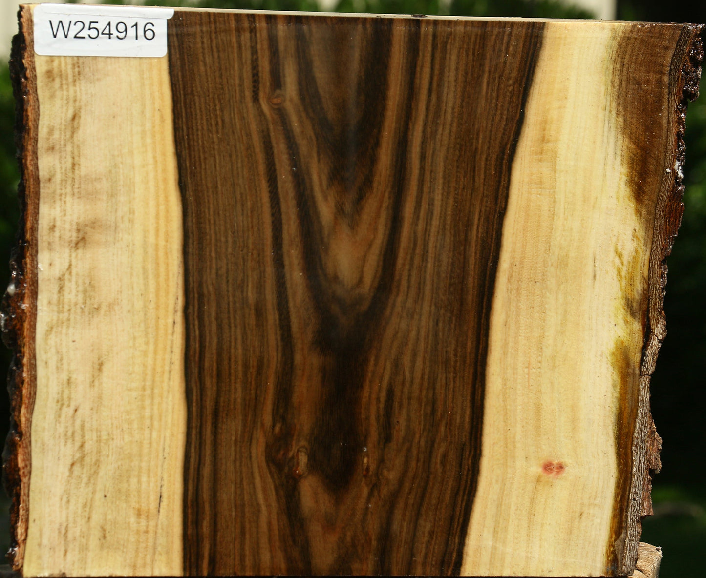 Pistachio Live Edge Turning Blank