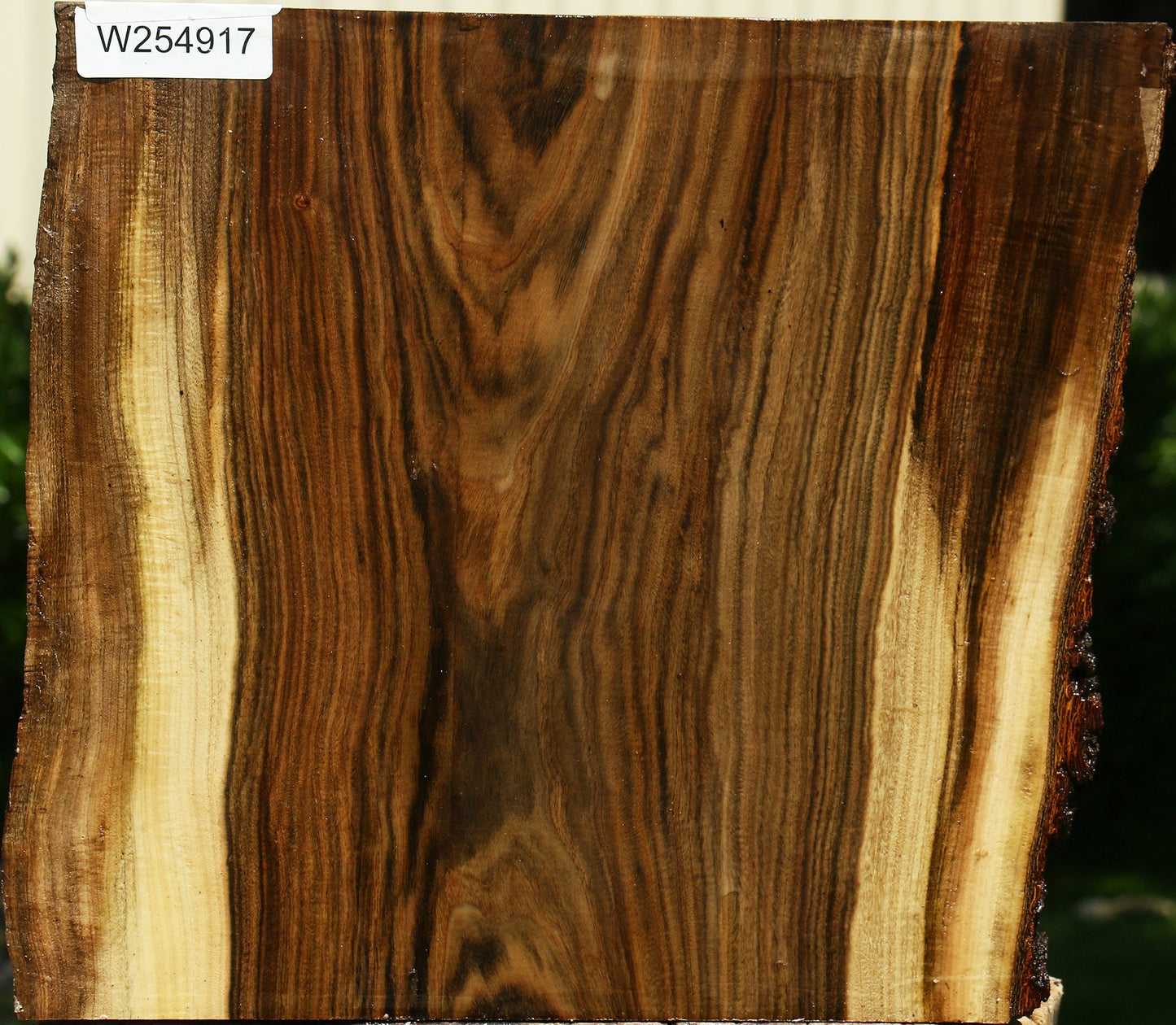 Figured Pistachio Live Edge Platter Blank
